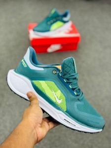 Nike Pegasus 41 GORE-TEX-Bicoastal / Black / Sail -(super lightweight and Super comfortable)-(Made in vietnam)-nkp41bl